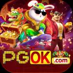 PGok com Plataforma Profile Picture