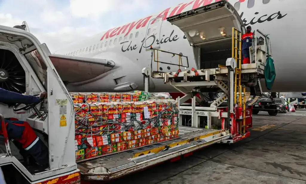 Kenya ships first-ever Apple mango consignment to the UK market