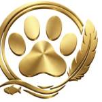 Buddy Paws Profile Picture