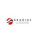 Gradius IT Solutions Profile Picture