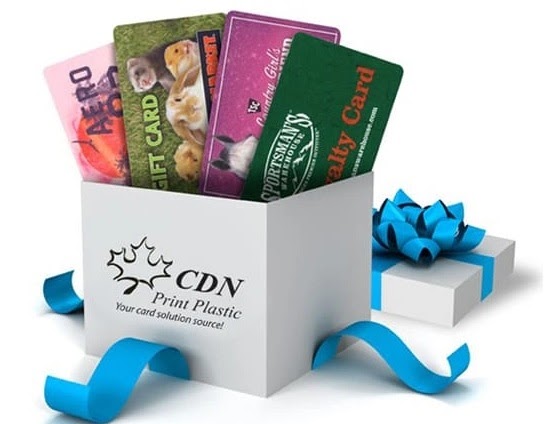 Why Printing Plastic Cards Canada Still Supports Everyday Business Needs