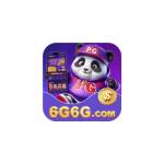 6g6g bet Profile Picture
