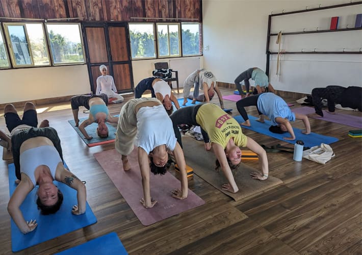 100 Hour Yoga Teacher Training in Rishikesh | Yogaadi
