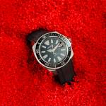 strapx pro Profile Picture