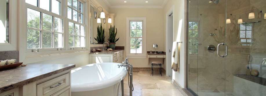 North American Stone Cover Image