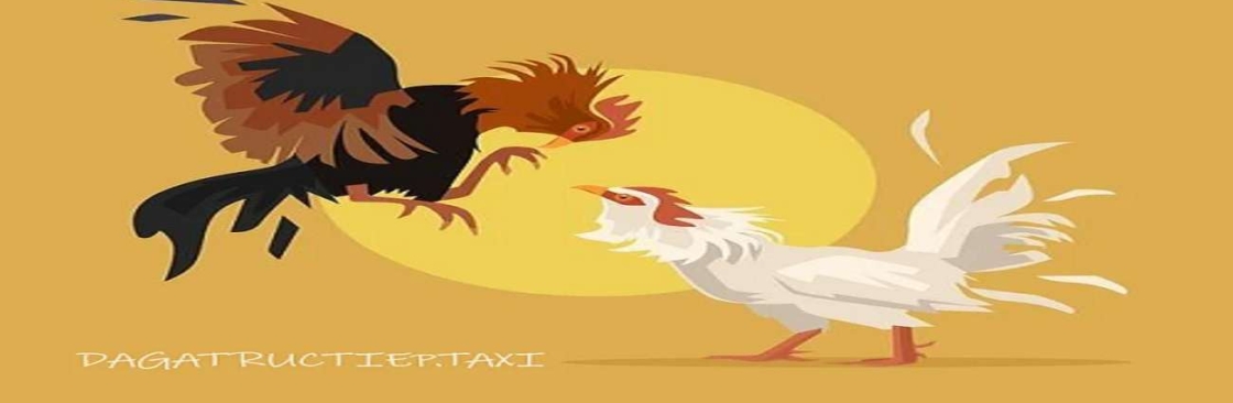 Thomohomnay TRỰC TIẾP ĐÁ GÀ Cover Image