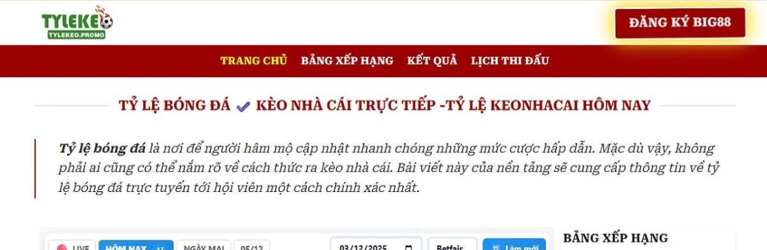 Tylekeo Promo Cover Image