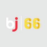 CEO Bj66 Profile Picture