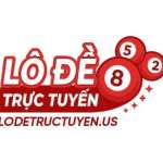 lodetructuyen Profile Picture