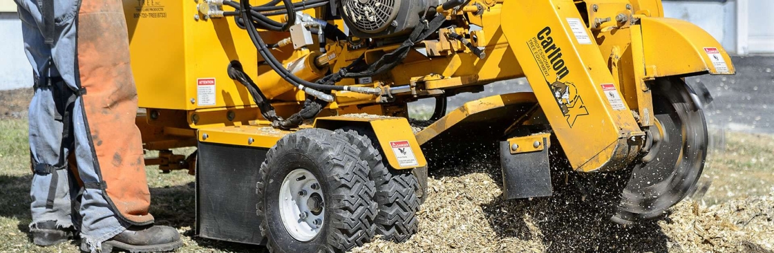 Southern Star Stump Cover Image