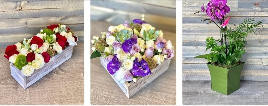 Customized Presents Made Easy With Our Flower Delivery to Seton Medical Center – @everydayflowersblog on Tumblr