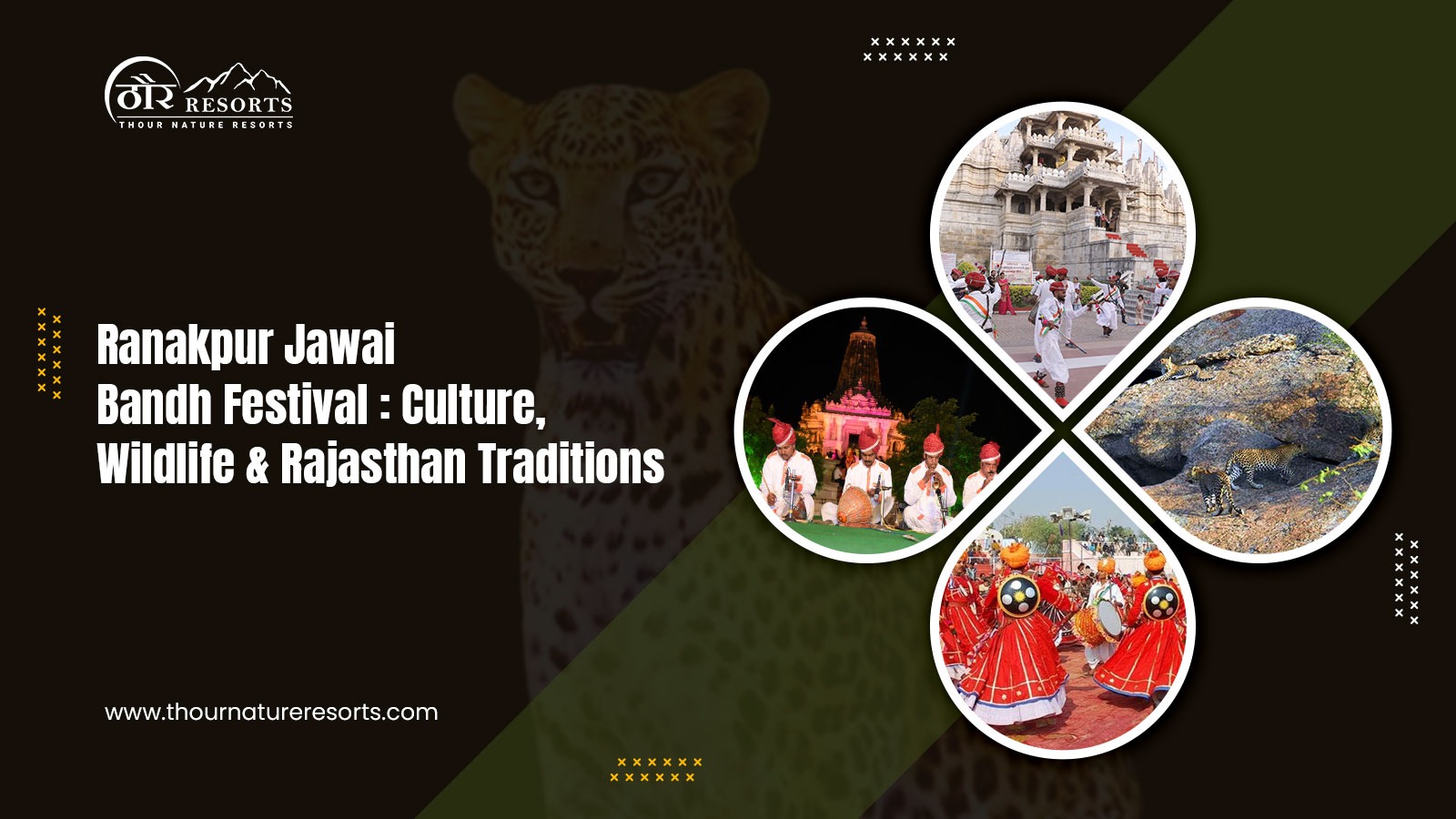 Ranakpur Jawai Bandh Festival 2025: Culture, Wildlife Traditions
