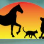 Vetequoil Med Profile Picture