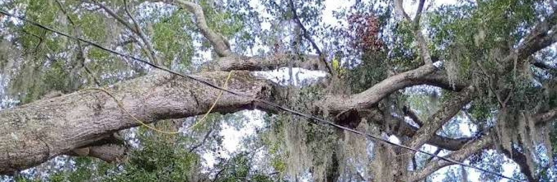 Alpha Arborcare LLC Cover Image