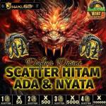 pg soft Profile Picture