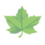 Frontier Tree Services Profile Picture