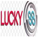 intrepidpro com Profile Picture