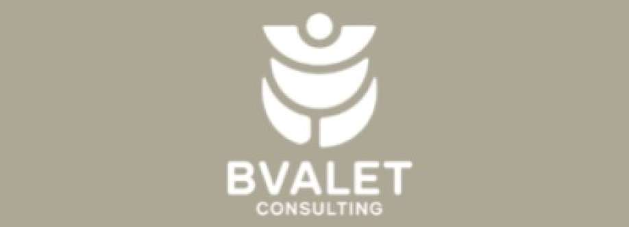 Bvalet Consulting Cover Image