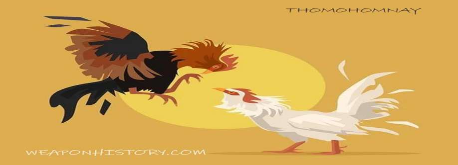 ĐÁ GÀ TRỰC TIẾP WEAP Cover Image