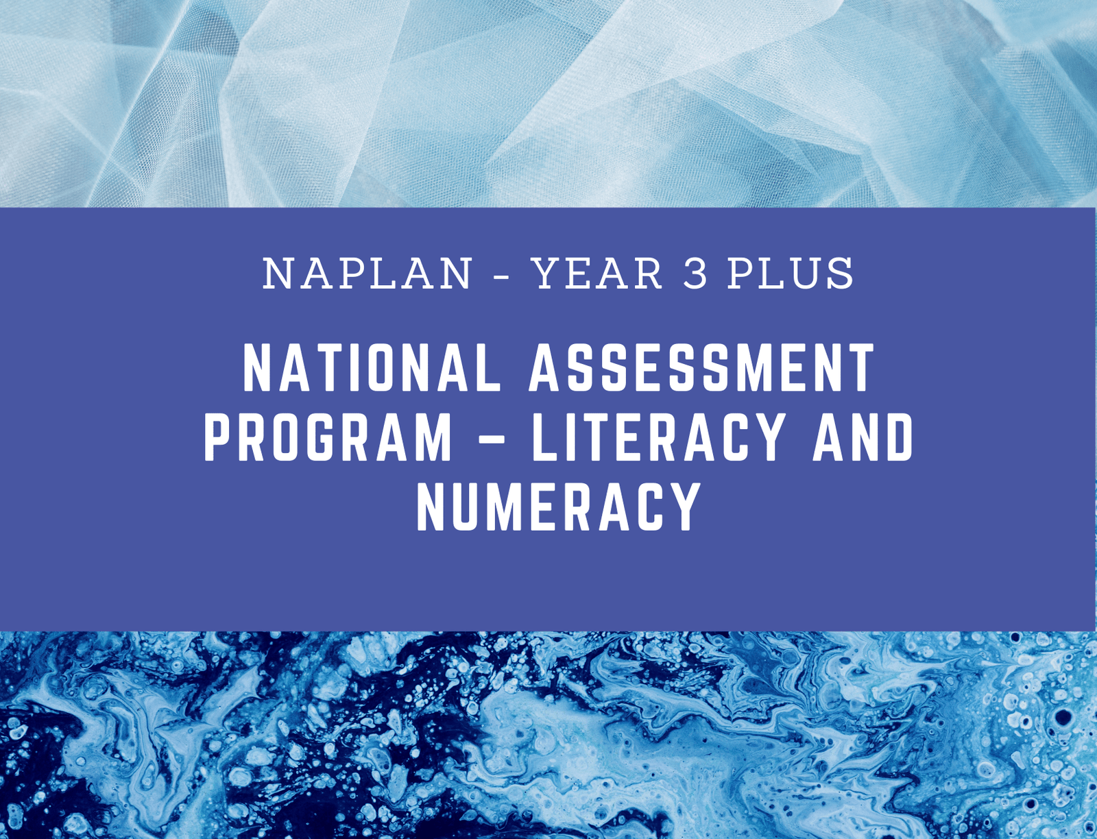 Year 3 NAPLAN Questions | Practice & Prepare for Success