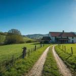 sahil alam Profile Picture