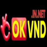 Okvnd in net Profile Picture