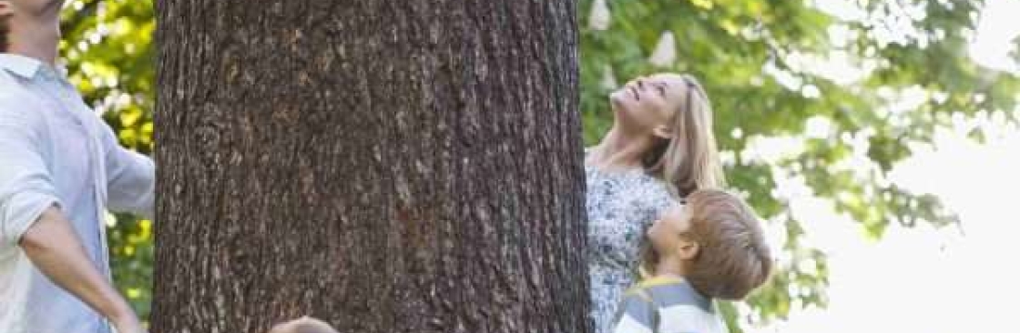 Artmires Forestry Cover Image