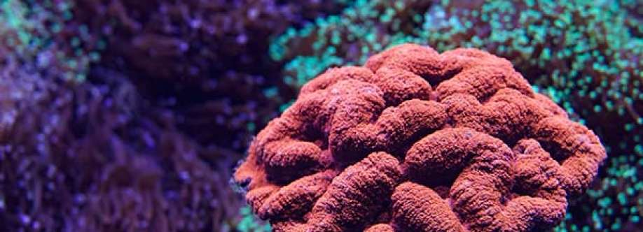 atomic reef Cover Image