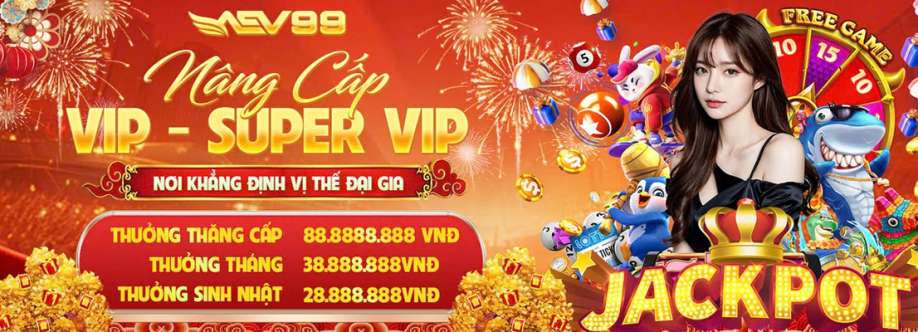 Aev99 anet Cover Image