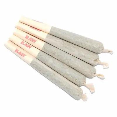 Buy Pre Rolls Online | Best Cannabis Pre Rolls Delivery