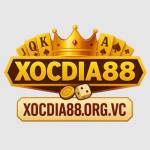 XOCDIA88 bet Profile Picture