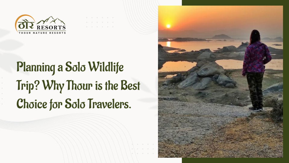 Planning a Solo Wildlife Trip? Why Jawai Is the Best Choice for Solo Travellers