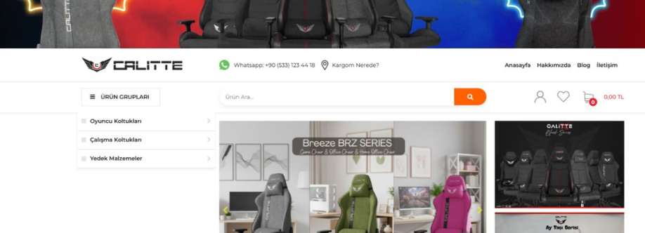 oyuncu koltuğu fiyatları Cover Image