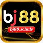 Bj88 schule Profile Picture