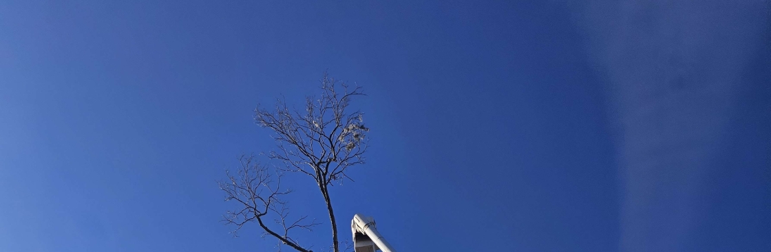 Allday Tree Services Cover Image