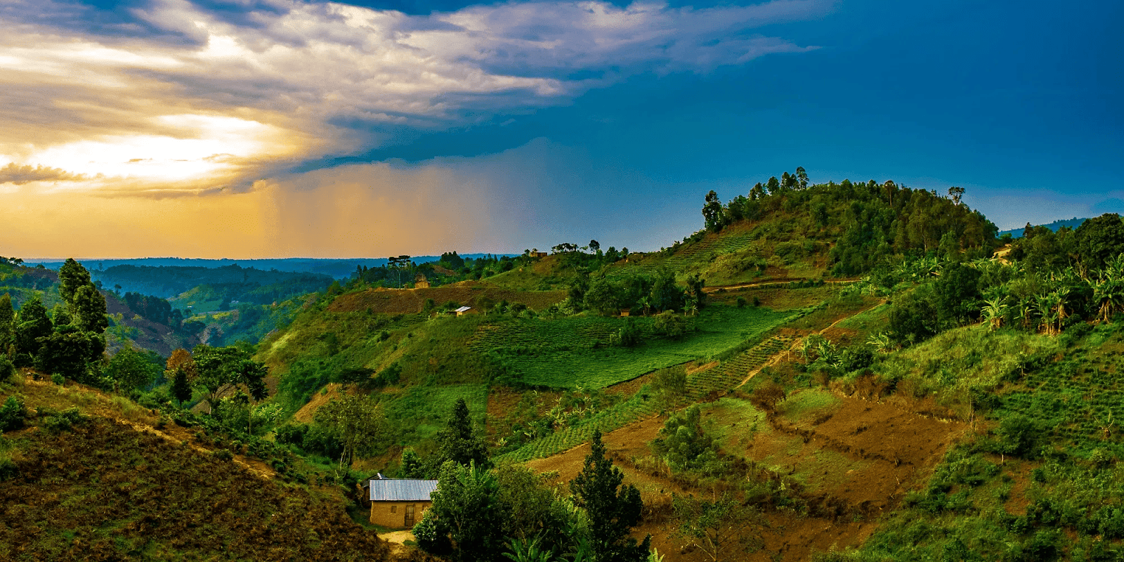 Reasons to Visit Rwanda: Top Tourist Spots & Adventures | OneVasco Blog