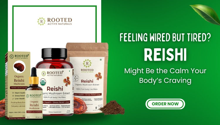 Feeling Wired But Tired? Reishi Might Be the Calm Your Body’s Craving – Rooted Active Naturals