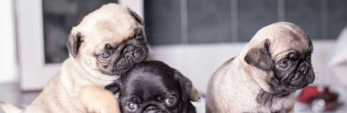 Puga zon Cover Image