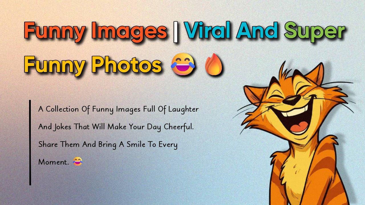 999+ Top Funny Images That Will Make Any Bad Day Better ?