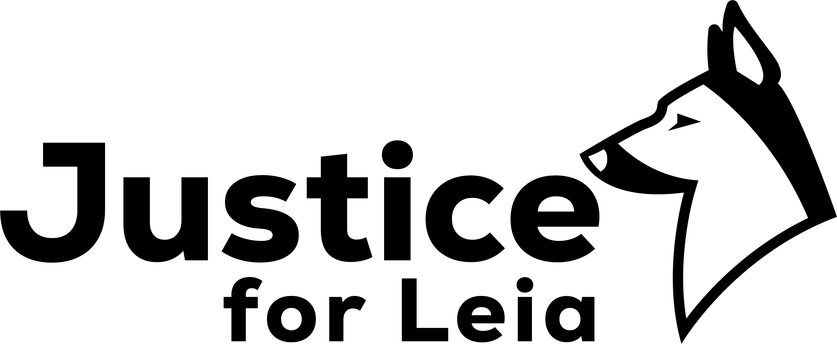 Exploring Positive Reinforcement Techniques in Canine Training