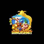 Banca Jpnet Profile Picture