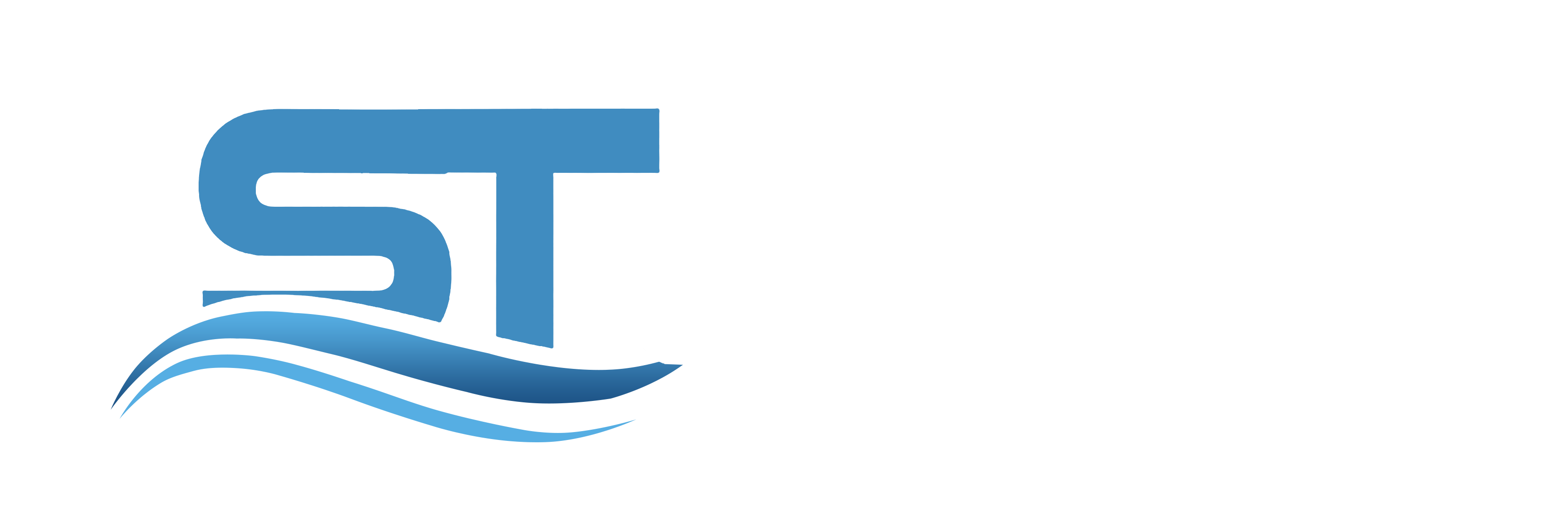 Web Design Company – Sangita Technologies