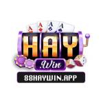 Haywin Cổng Game Đổi Thưởng Profile Picture