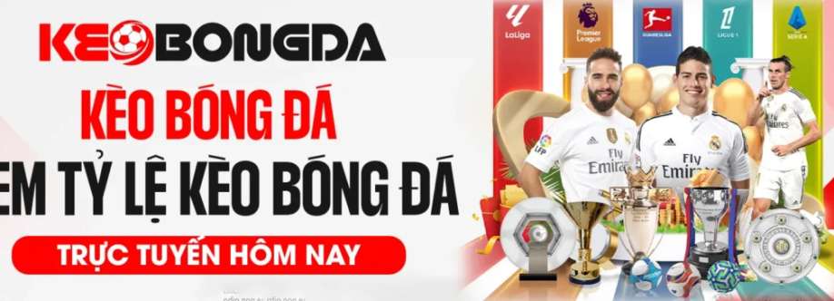 Soikeo jp net Cover Image