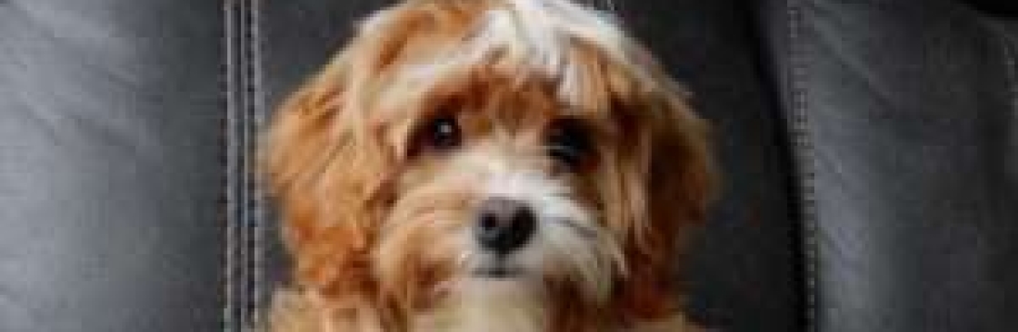 Puppy Love Paradise Cover Image