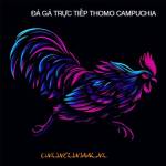 ĐÁ GÀ TRỰC TIẾP Profile Picture