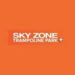 Sky Zone Ventura Profile Picture