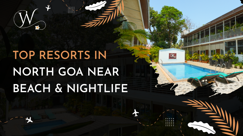 Top Resorts in North Goa Near Beach & Nightlife – Welcome to White Flower Cottages
