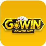 gowin1net Profile Picture