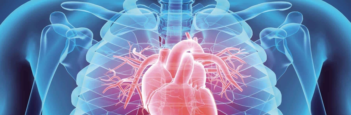 BSA Dibcard Cover Image